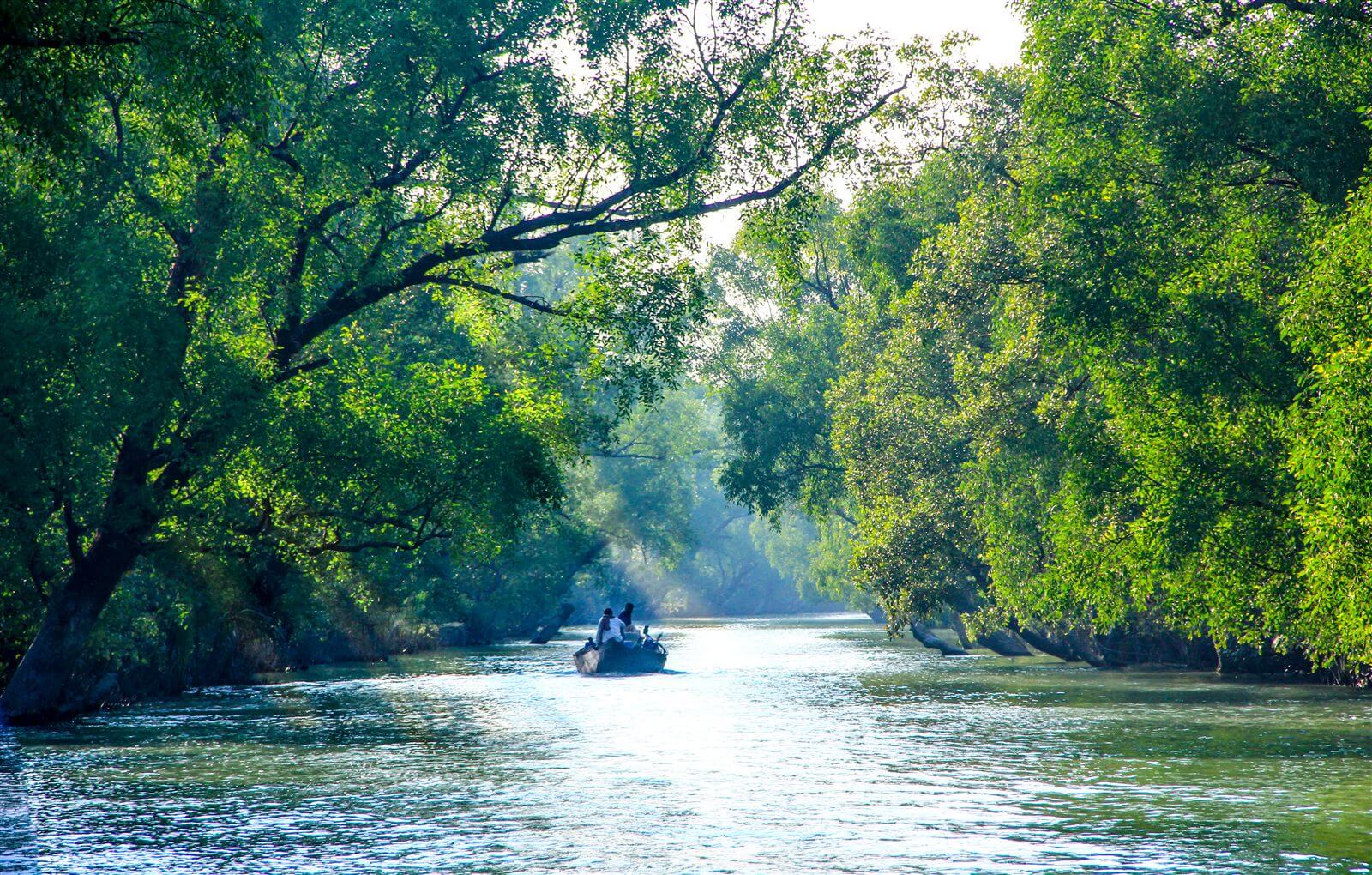 সুন্দরবন